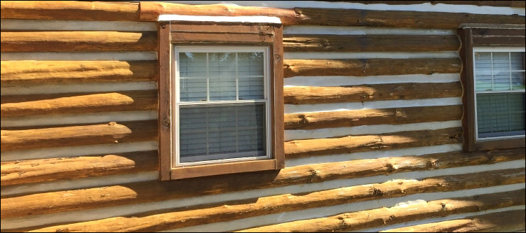 Log Home Whole Log Replacement  Valdosta, Georgia
